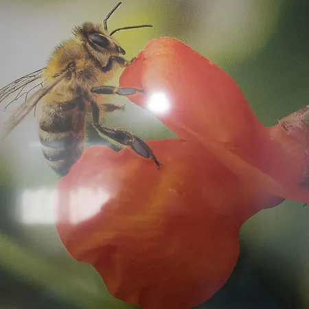 16lilien Apartmentwohnung Gartenblick شقة *